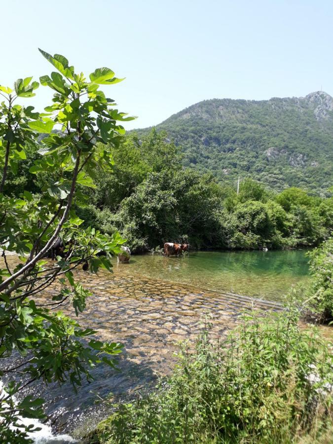 Kamp Camp Sunny Hills Virpazar